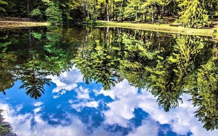 The Park at Ashby Massachusetts... has a kool lake .. great hiking trails .. a little cover bridge!! Great off the beaten path find!