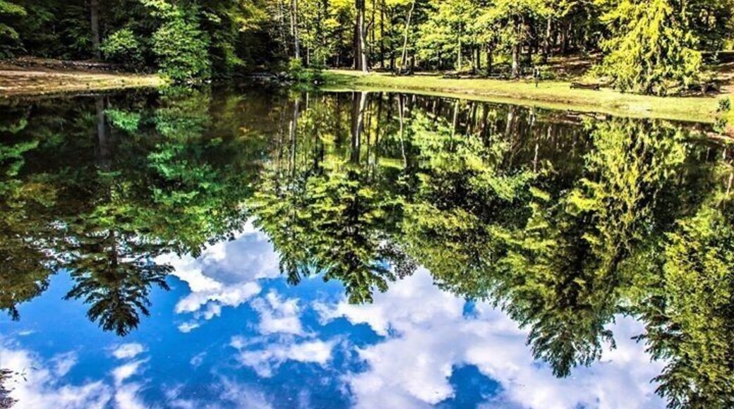 The Park at Ashby Massachusetts... has a kool lake .. great hiking trails .. a little cover bridge!! Great off the beaten path find!
