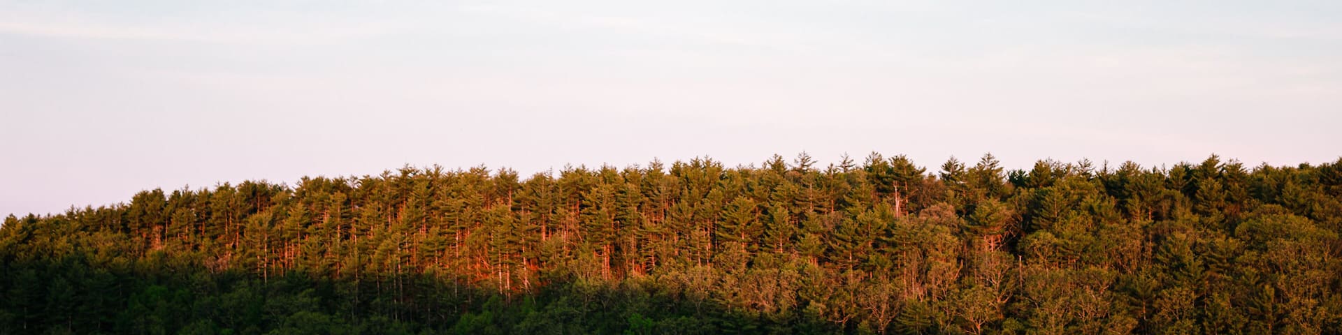View from Sheep Rock in Bears Den Conservation Area in Athol Massachusetts