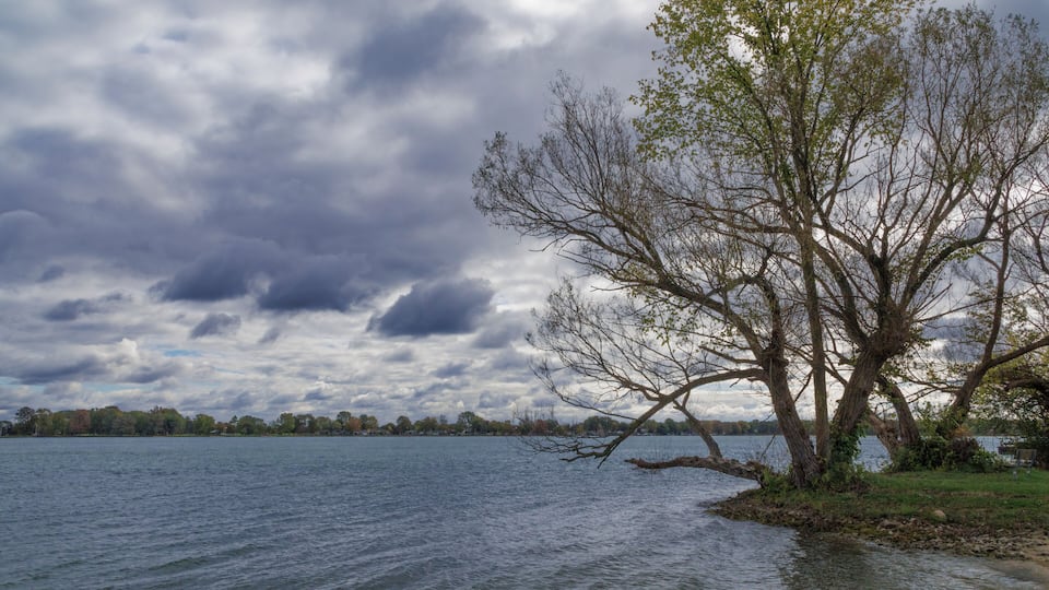 A lake with a large tree on the right and a cloudy sky.