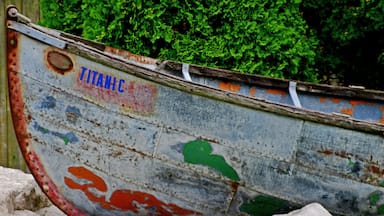 At a marina on the St Clair River near the city of Algonac they had some fun with an old beat up row boat.