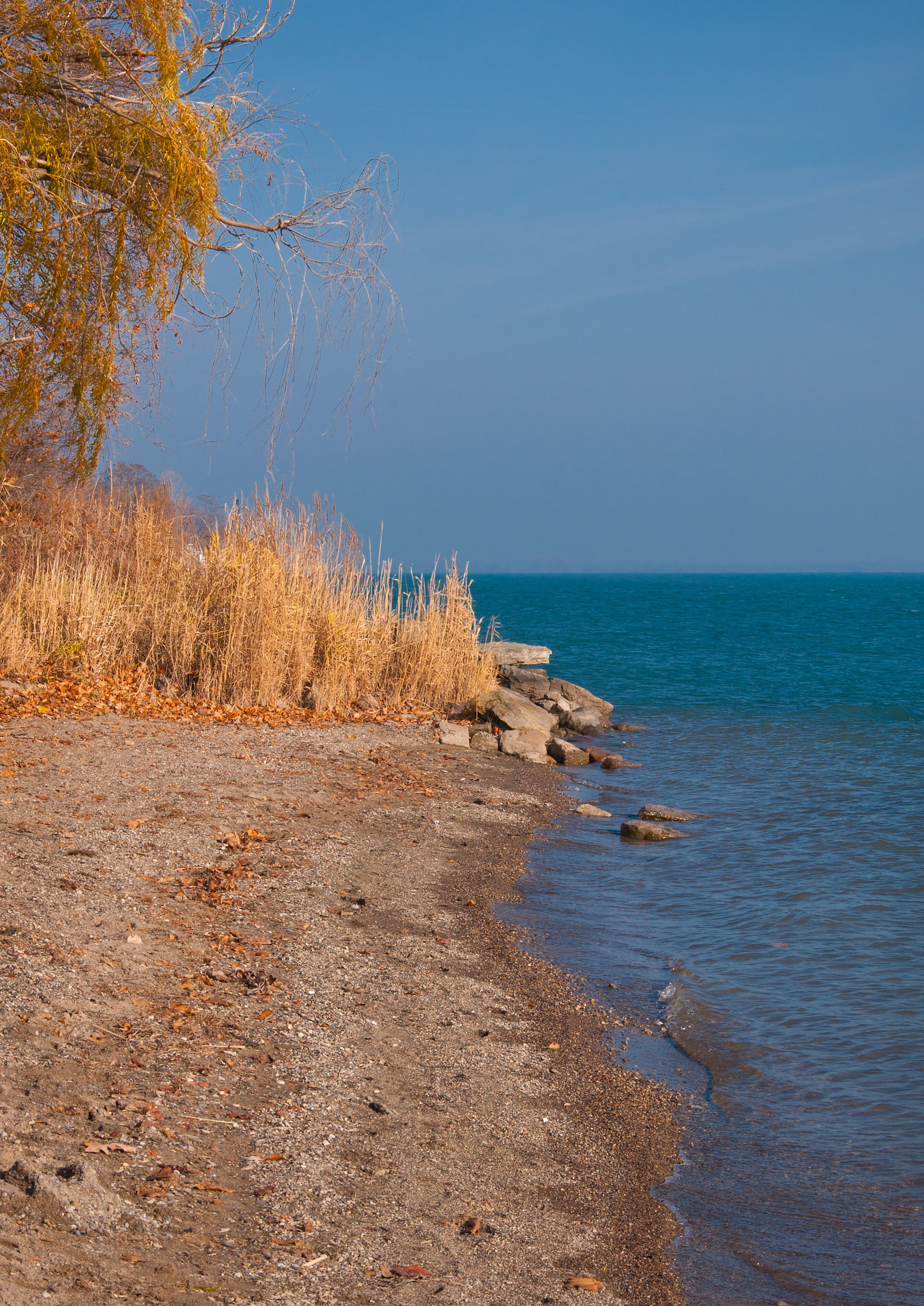 Algonac