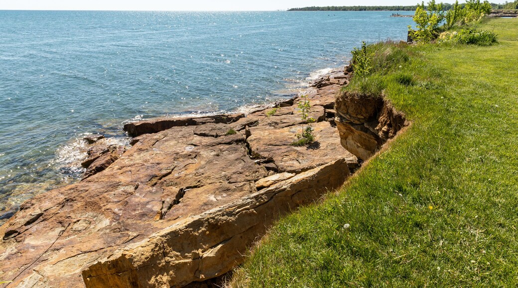 A rocky shoreline with clear blue water, grassy areas, and a distant tree line.