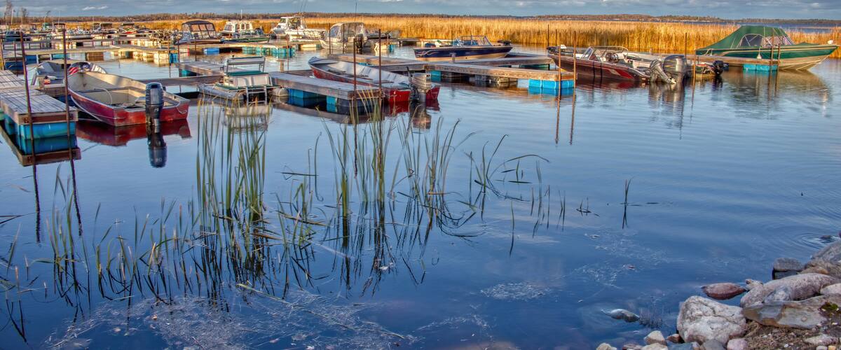 A marina with various boats docked, surrounded by reeds and calm water.