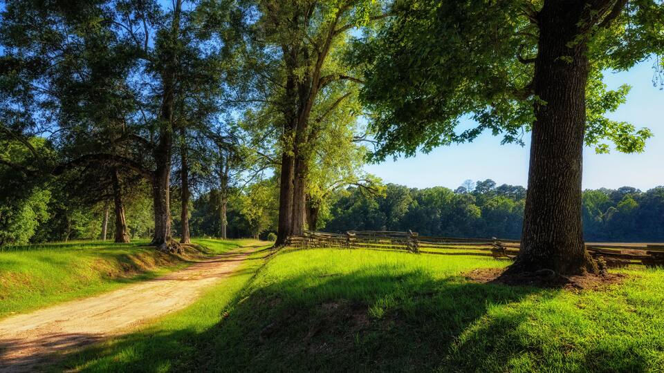 Dirt road along the Natchez Trace Parkway in Mississippi.