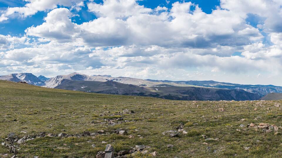 A mountainous landscape with a grassy foreground and a range of snow-capped peaks in the background.