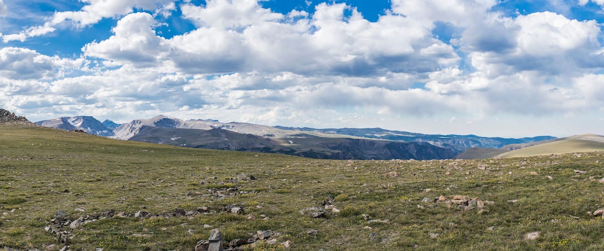 A mountainous landscape with a grassy foreground and a range of snow-capped peaks in the background.