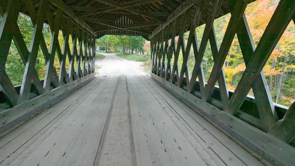 A covered wooden bridge with a clear path leading through a forest.