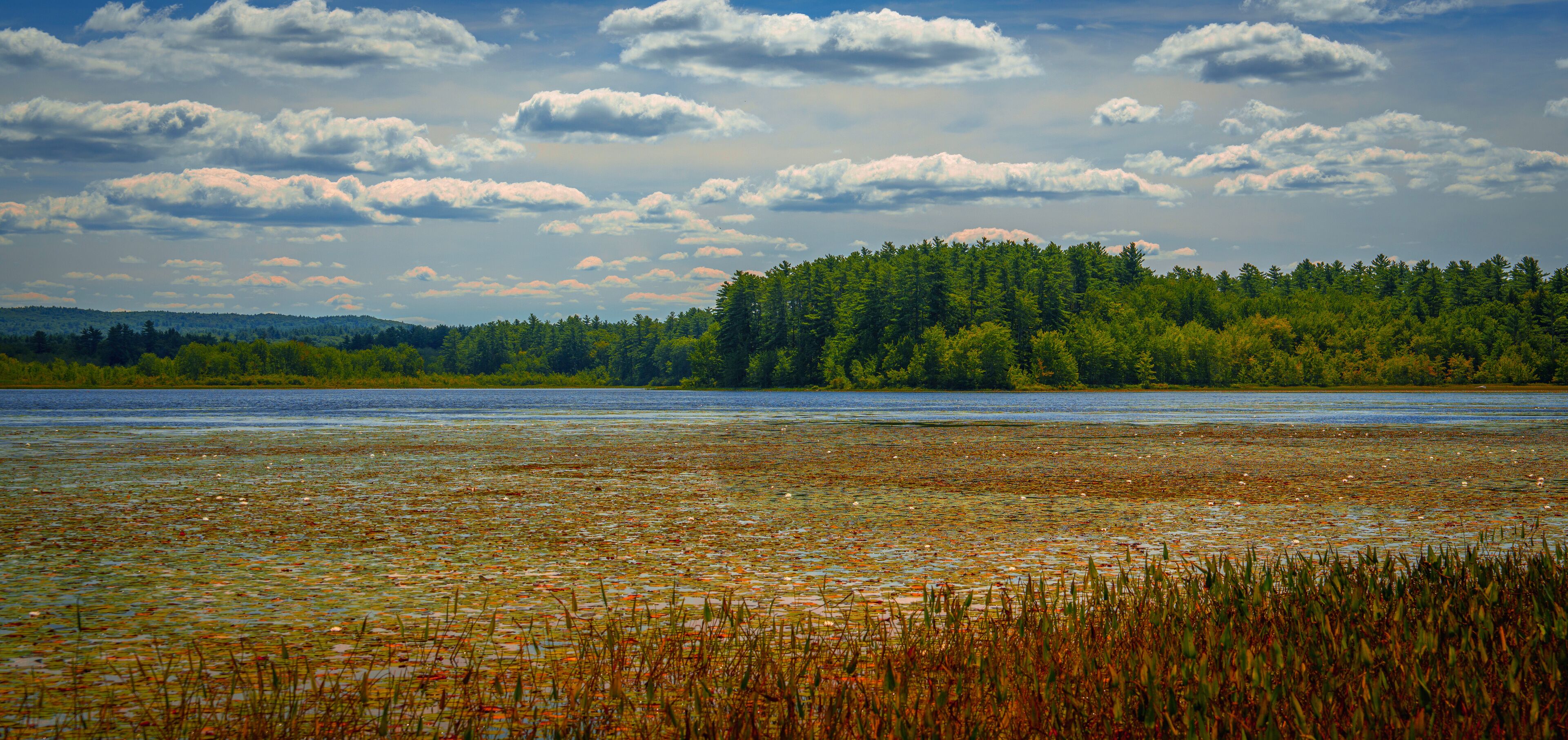 A lake surrounded by dense forest and a cloudy sky.