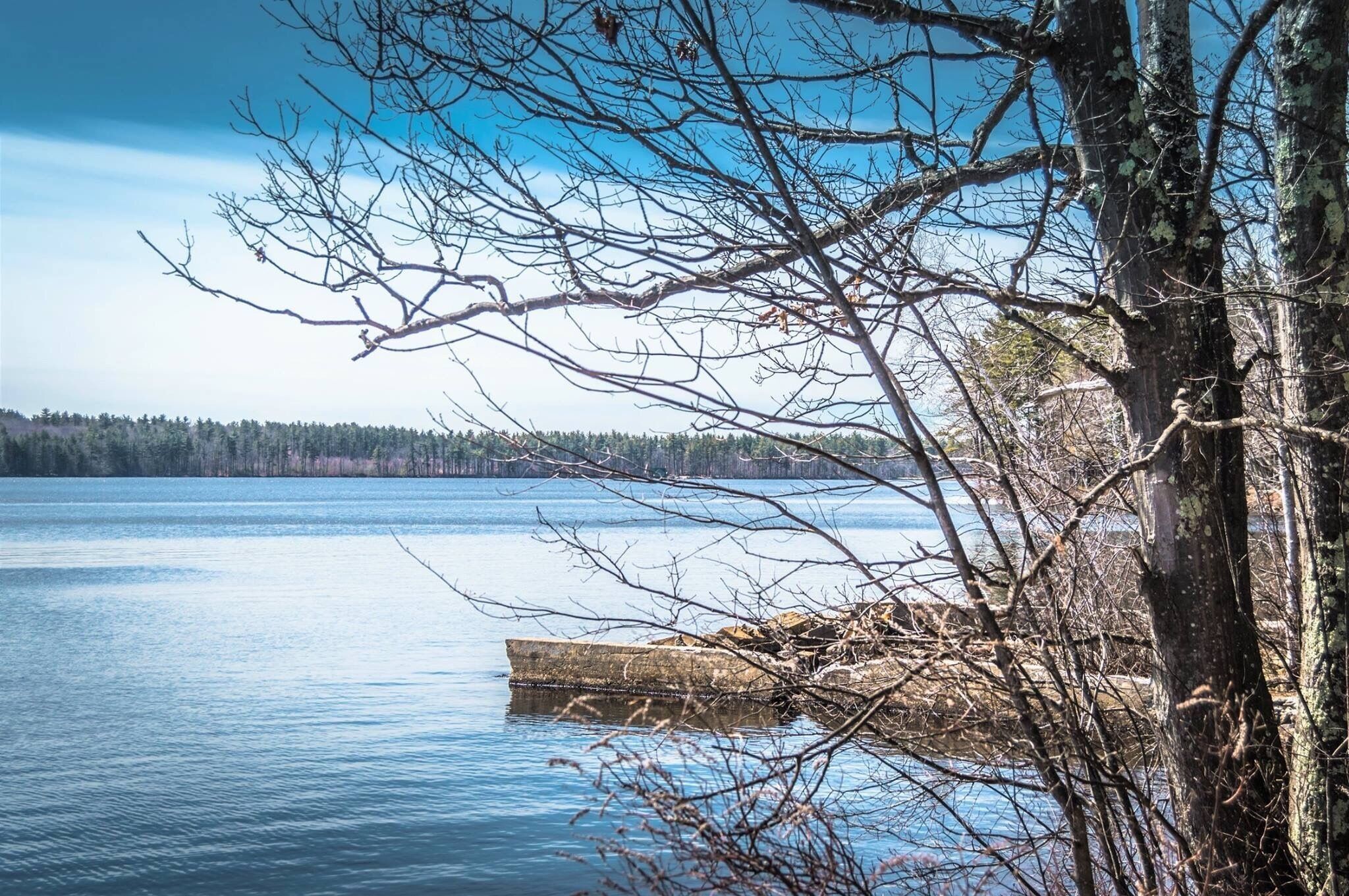 Lake Massabesic Trail is a 4 mile beautiful trail around the waterfront trail located near Auburn, New Hampshire