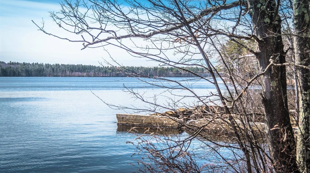 Lake Massabesic Trail is a 4 mile beautiful trail around the waterfront trail located near Auburn, New Hampshire