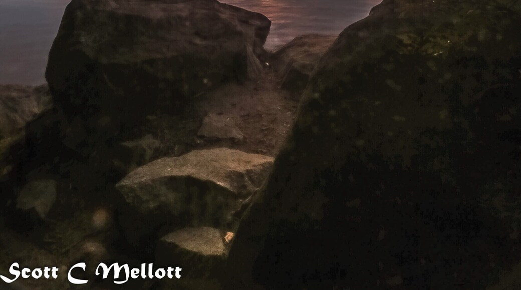 A nice sunset to end the month of September in New Hampshire along the eastern shore of Massabesic Lake in Auburn, NH.
Tech info:
Camera: Canon 80D
Lens: 10-18mm
Focal Length: 10mm
ISO 100
Exposure: 1.0 sec at f/22
Filters: CPL and 4 stop ND graduated
#golden #bvssquad