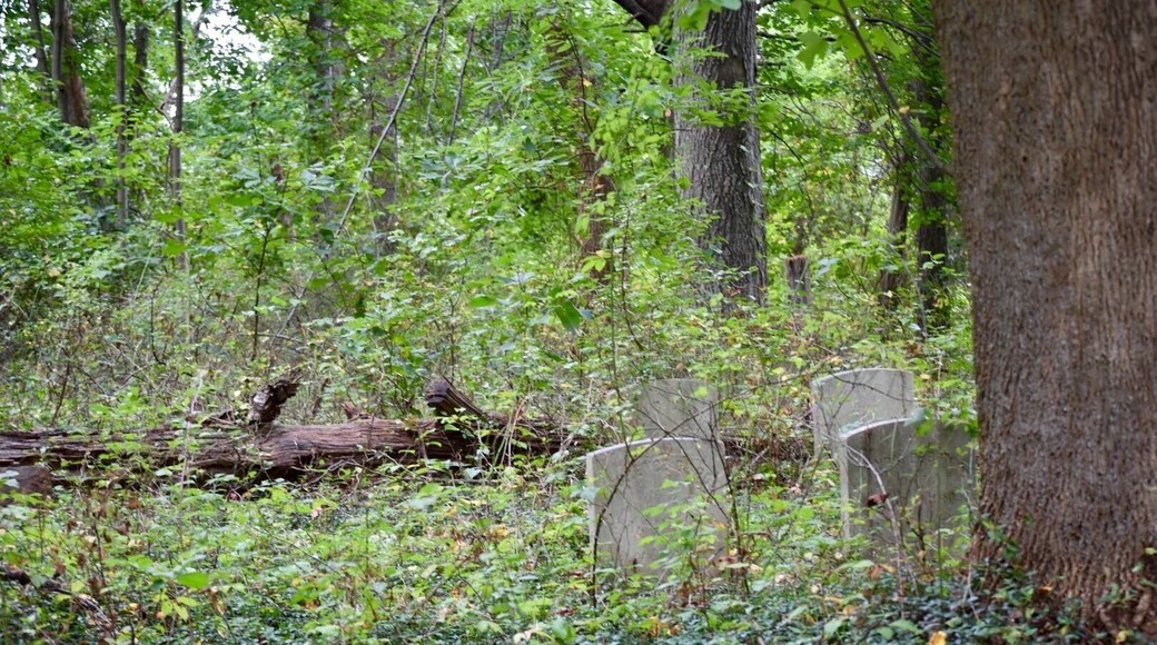 Ye Olde Robbins Burial Place.also known as Covill Hill Cemetery.. Established circa 1695 and now hidden and overgrown in dense woods & vegetation. Many graves spread out and hidden in the underbrush. Several Civil War veterans are laid to rest here as well as Deborah Lincoln, Abraham Lincoln's great grand Aunt who died in 1720 at the age of 3 years 4 months.