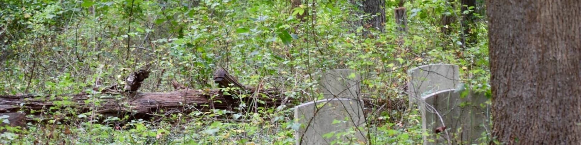 Ye Olde Robbins Burial Place.also known as Covill Hill Cemetery.. Established circa 1695 and now hidden and overgrown in dense woods & vegetation. Many graves spread out and hidden in the underbrush. Several Civil War veterans are laid to rest here as well as Deborah Lincoln, Abraham Lincoln's great grand Aunt who died in 1720 at the age of 3 years 4 months.