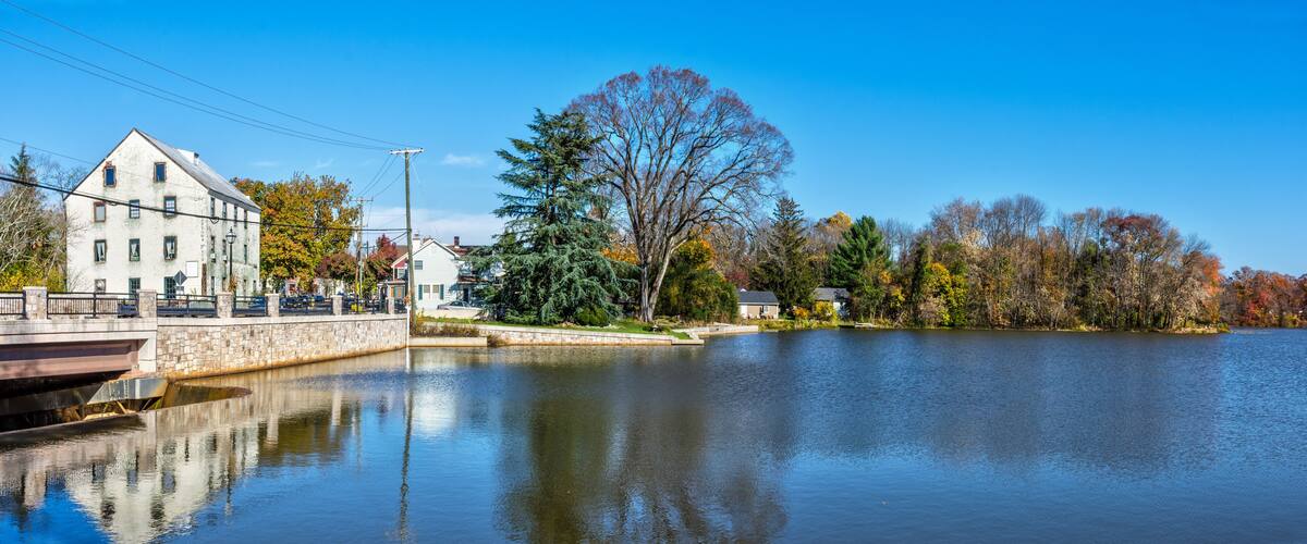 A calm lake with a bridge, a large tree, and autumn-colored trees along the shore.
