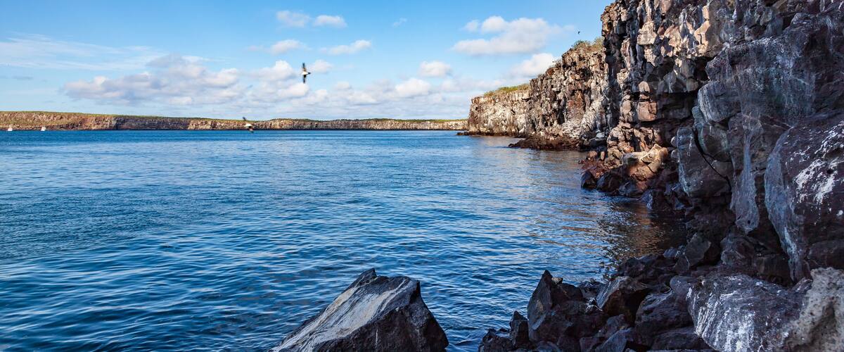 A rocky coastline with clear blue water, a distant bird, and a moon in the sky.