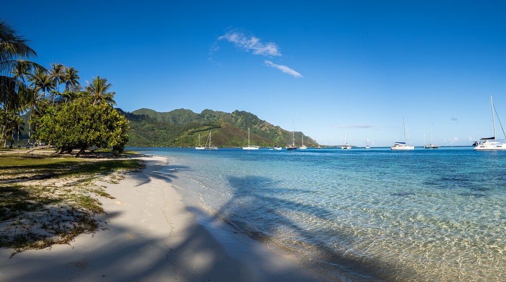 bay, beach, beautiful, blue, boat, clear day, clear waters, coast, cooks bay, destination, exotic, french polynesia, green, green hills, harbor, holiday, island, islands, lagoon, landscape, luxury, ma