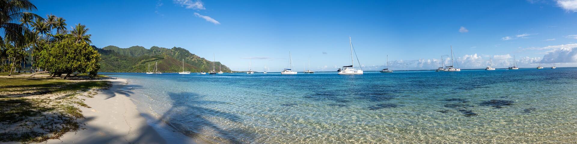 A beach with clear water, palm trees, and sailboats.