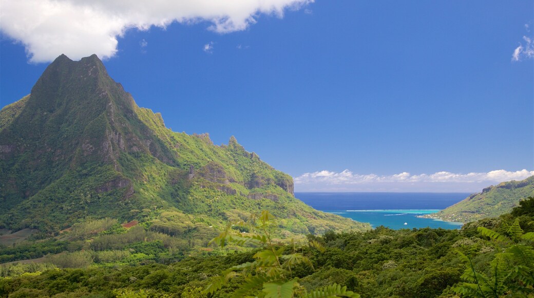 Cook\'s Bay featuring mountains and tranquil scenes
