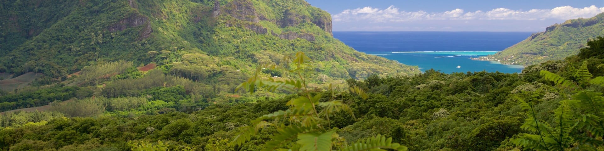 Cook\'s Bay caratteristiche di paesaggi rilassanti e montagna