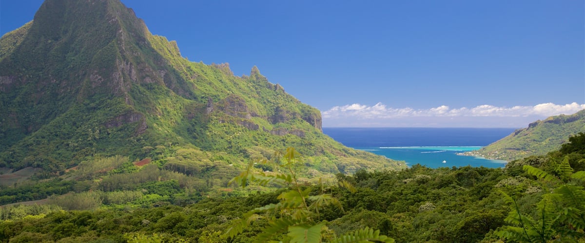 Cook\'s Bay featuring mountains and tranquil scenes