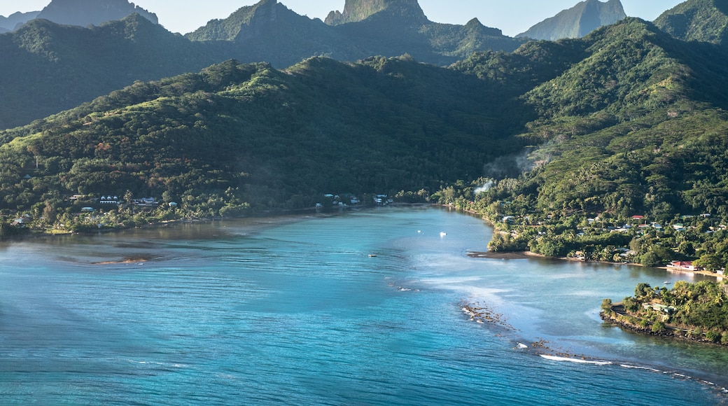 Aerial view of the coast of Moorea in French Polynesia