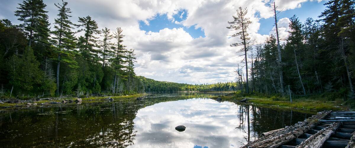 Hiking Mount Adams Fire Tower Adirondacks Upstate New York