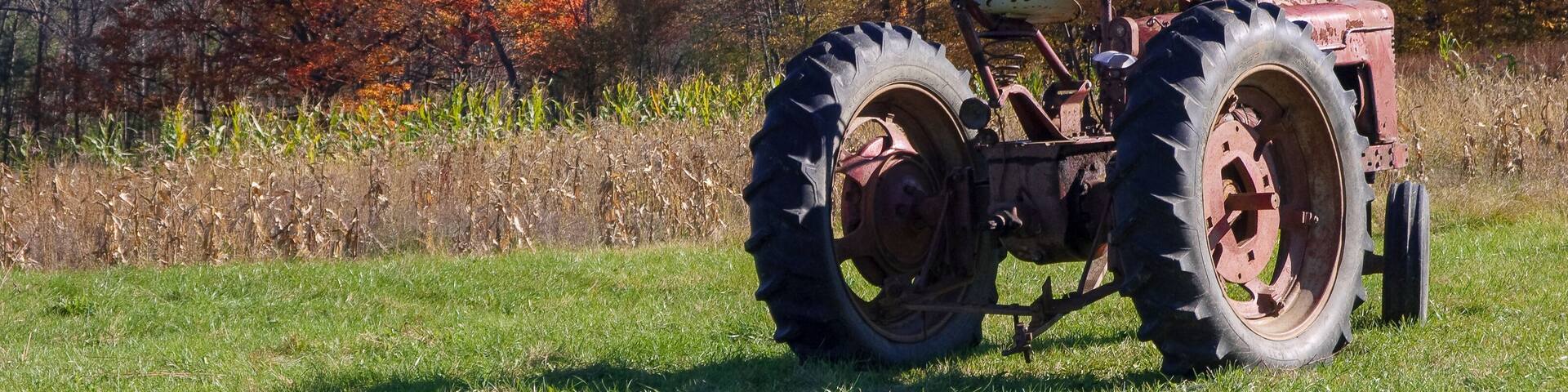 Old Red Tractor in Field With Autumn Leaves