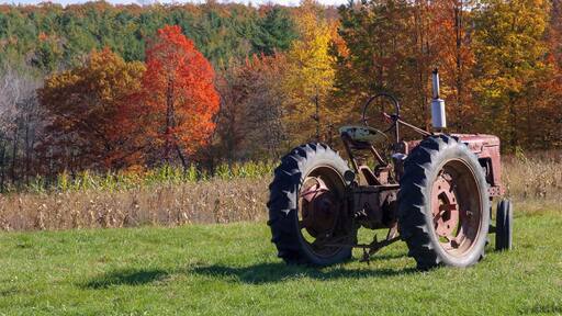 Old Red Tractor in Field With Autumn Leaves