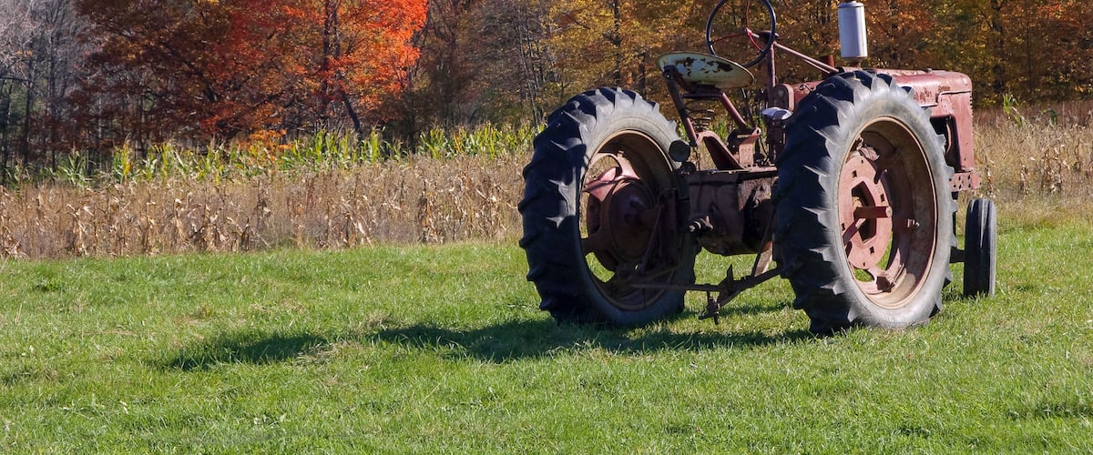 Old Red Tractor in Field With Autumn Leaves