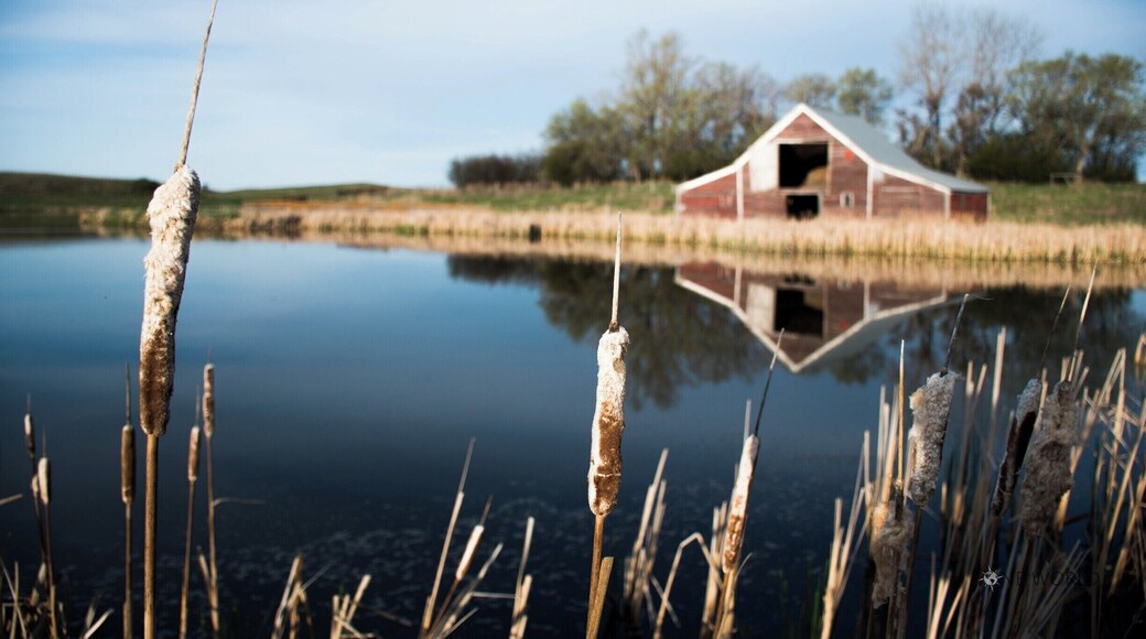 Abandoned Barn near Ashley, ND