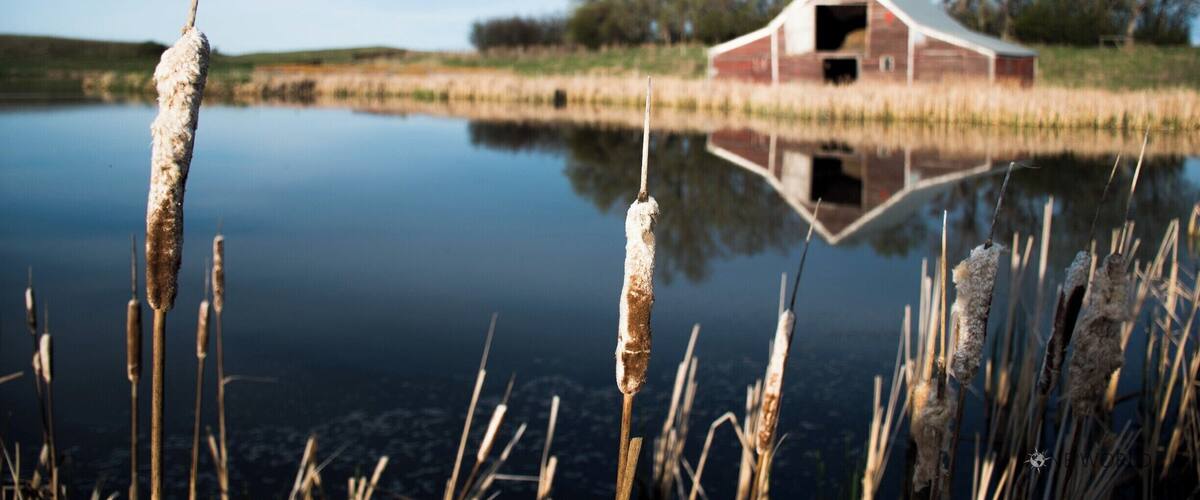 Abandoned Barn near Ashley, ND