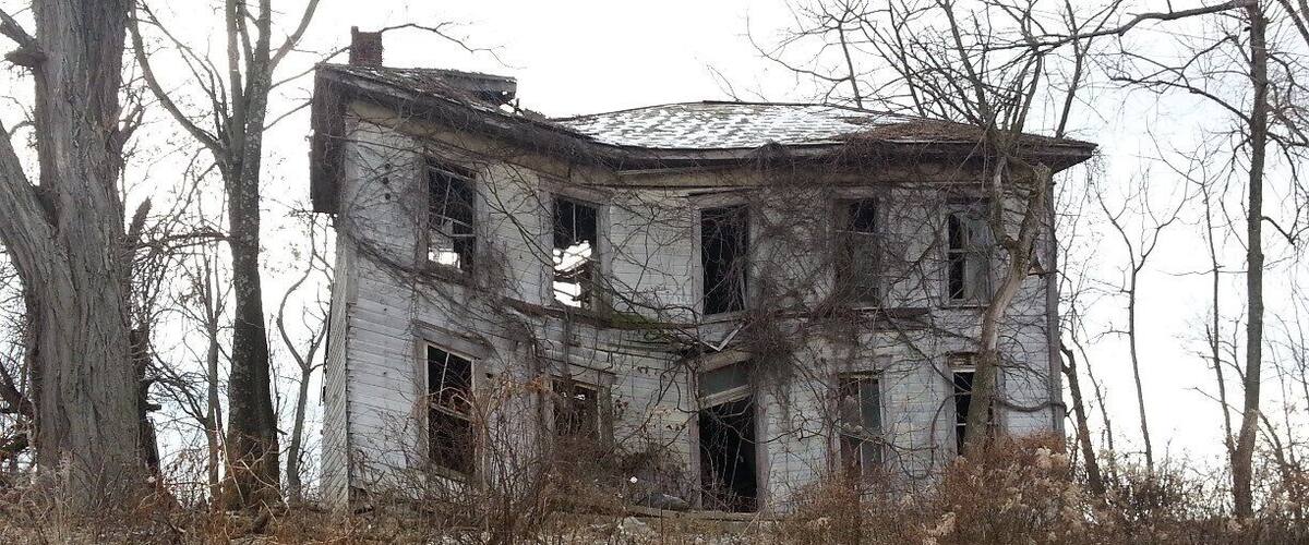 A dilapidated building surrounded by leafless trees and overgrown vegetation.