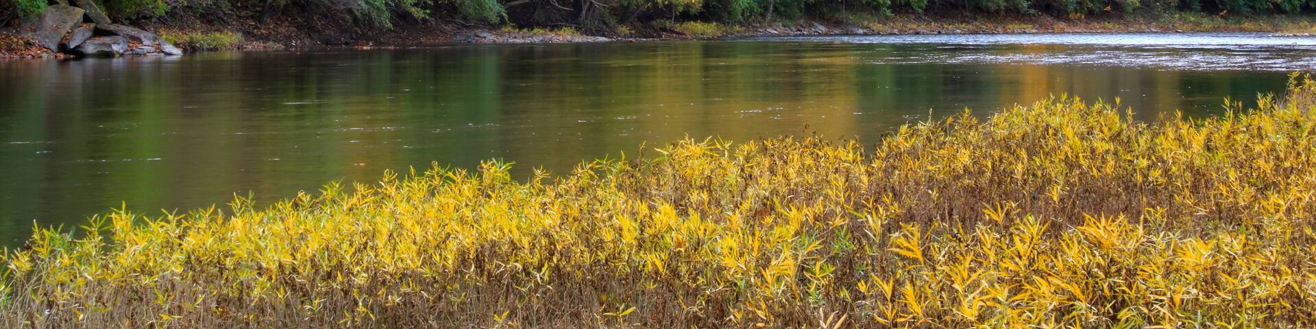 The Little Miami River in Autumn