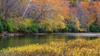The Little Miami River in Autumn