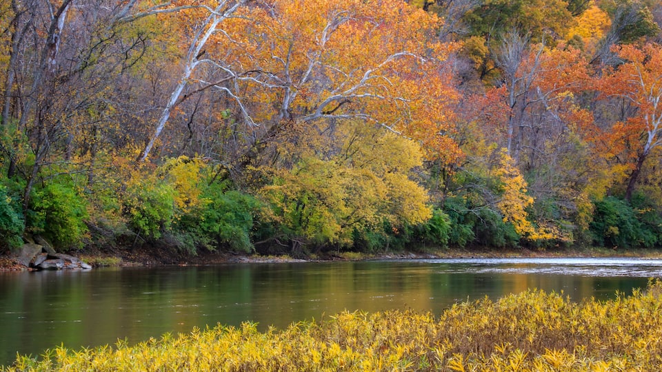A river with autumn foliage, trees with yellow and orange leaves, and a calm water surface.