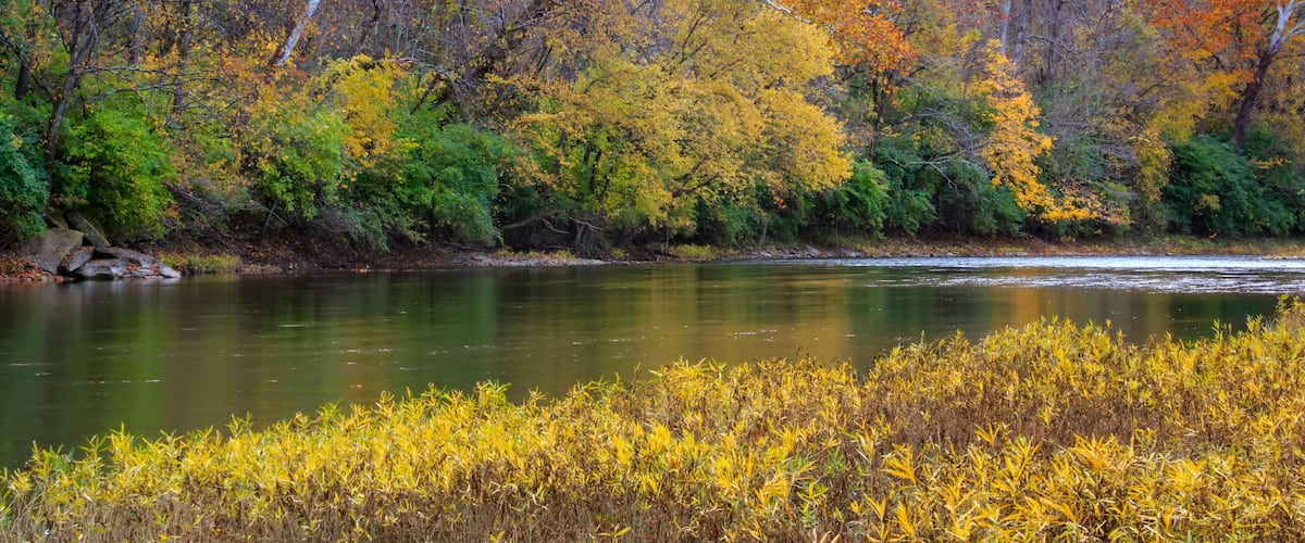 A river with autumn foliage, trees with yellow and orange leaves, and a calm water surface.
