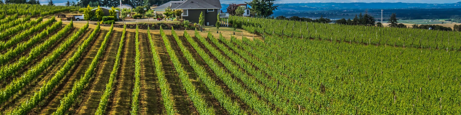 Brooks Wines, Amity, Willamette Valley, Oregon, USA