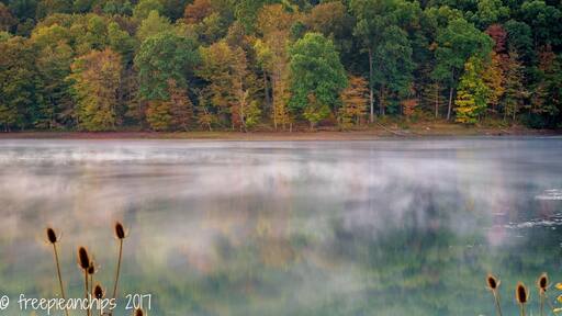 Mist swirls on water at first light stopped down for added affect as the first Autumn colours appear.