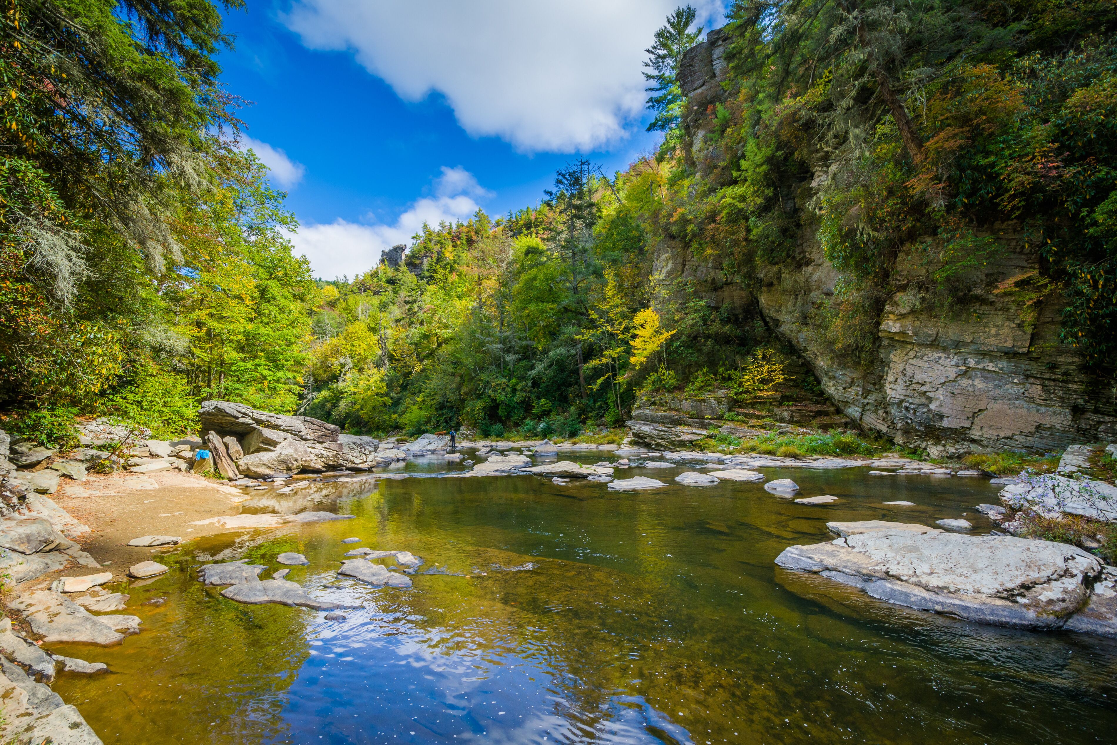 The Linville River below Linville Falls, along the Blue Ridge Pa