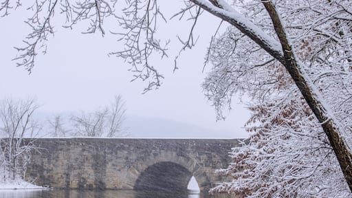 ์จ๋ฆฌ์จ ๊ณต์