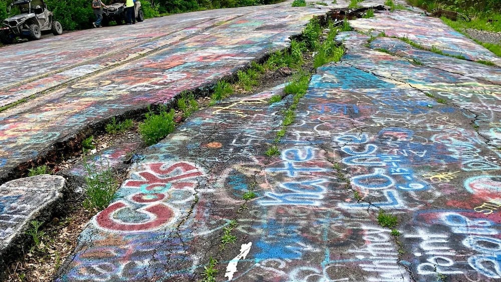Ein mit Graffiti beschmierter Betonweg in einer üppigen, grünen Waldlandschaft.