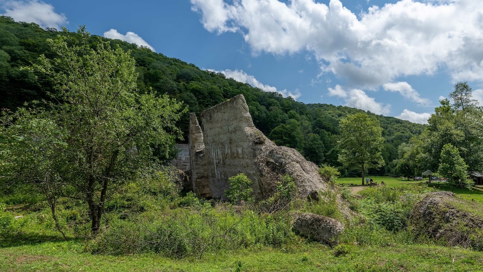 A rocky outcrop in a lush green forest.