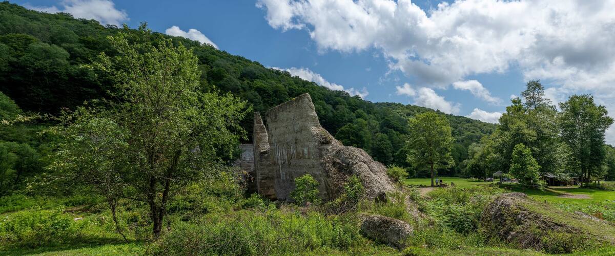 A rocky outcrop in a lush green forest.