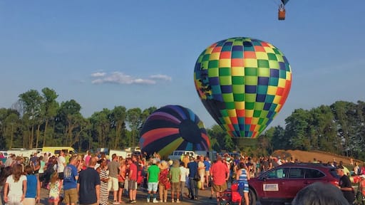 The beauty of balloons and the sky at the annual Chester County Balloon Show