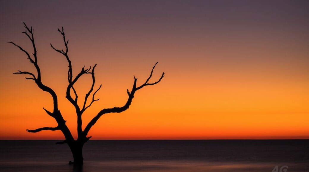 "Boneyard Beach"
Just a few miles north of Isle of Palms in South Carolina lies this absolute gem of a place called Bulls Island. Accessible only via boats, the island has a long pristine coastline that is very beautiful to explore. The island is part of a wildlife reserve, so no overnight camping is permitted but there is wild camping at nearby Capers Island. You could theoretically camp at Capers Island and kayak to Bulls Island or you could take the Bulls Island Ferry like I did. The price is very reasonable and these guys run an early morning sunrise trip that starts well before dawn and you can make it to the Bulls Island Beach well in time to catch sunrise. I've recently read on their newsletter that they now offer overnight trips to the island as well - there is a house on the middle of the island, which is where you would stay during your overnight trips. Another trip that I'd highly recommend is the ferry trip to the Cape Romaine Lighthouses - there's only 4 in a year offered by the Bulls Island Ferry folks and they tend to sell out.
The overnight trips are a little more expensive but the view of the night sky at this location, away from city lights would truly be a sight to behold and I'm looking forward to going on that trip sometime soon.
For the avid wildlife folks, this island is supposed to be a paradise during the migratory season. Alligators are plentiful on this island but for the most part, they just laze in the sun and don't bother you. You can walk around and get close to them but please exercise caution if you decide to do so.
Thank you for stopping by.
#colorful #goldenhour #treetrove #weekend #blue #beach #beaches