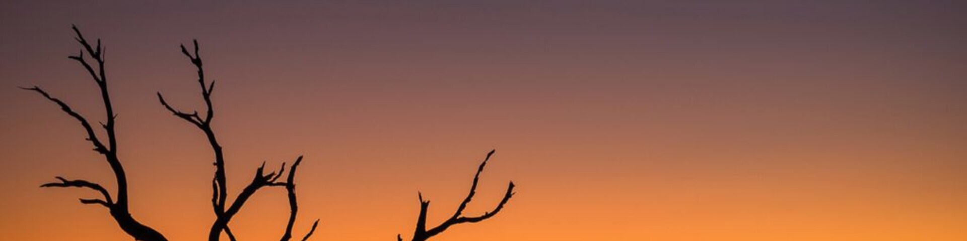 "Boneyard Beach"
Just a few miles north of Isle of Palms in South Carolina lies this absolute gem of a place called Bulls Island. Accessible only via boats, the island has a long pristine coastline that is very beautiful to explore. The island is part of a wildlife reserve, so no overnight camping is permitted but there is wild camping at nearby Capers Island. You could theoretically camp at Capers Island and kayak to Bulls Island or you could take the Bulls Island Ferry like I did. The price is very reasonable and these guys run an early morning sunrise trip that starts well before dawn and you can make it to the Bulls Island Beach well in time to catch sunrise. I've recently read on their newsletter that they now offer overnight trips to the island as well - there is a house on the middle of the island, which is where you would stay during your overnight trips. Another trip that I'd highly recommend is the ferry trip to the Cape Romaine Lighthouses - there's only 4 in a year offered by the Bulls Island Ferry folks and they tend to sell out.
The overnight trips are a little more expensive but the view of the night sky at this location, away from city lights would truly be a sight to behold and I'm looking forward to going on that trip sometime soon.
For the avid wildlife folks, this island is supposed to be a paradise during the migratory season. Alligators are plentiful on this island but for the most part, they just laze in the sun and don't bother you. You can walk around and get close to them but please exercise caution if you decide to do so.
Thank you for stopping by.
#colorful #goldenhour #treetrove #weekend #blue #beach #beaches