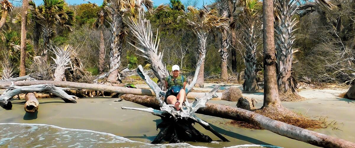 Hike a mile across the island and find your self on a beautiful beach alone. The Bone Yard is something to see with the waves rolling over it's old bleached trees. Tired of the tourist attractions then you will love Bulls Island.