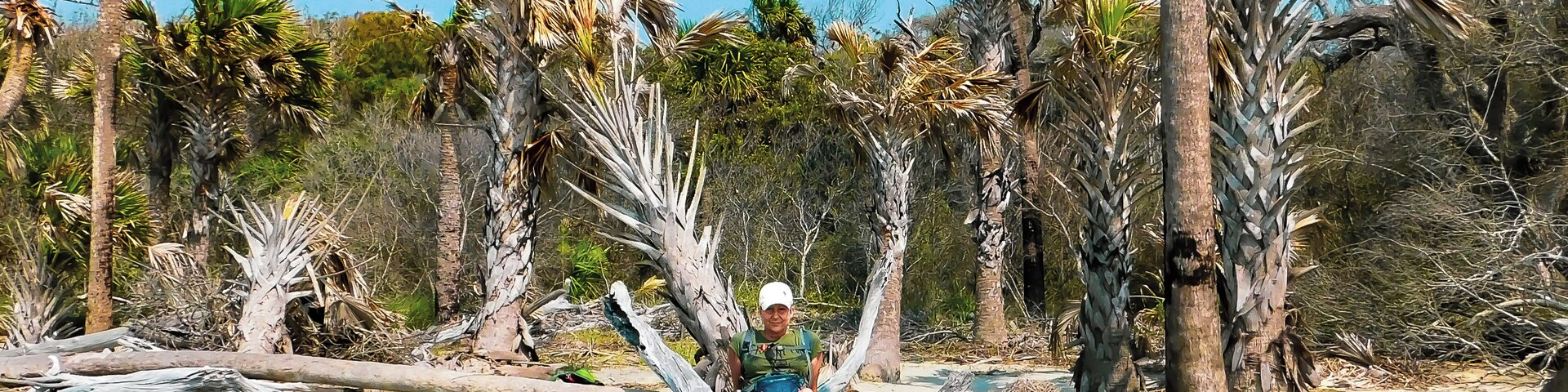 Hike a mile across the island and find your self on a beautiful beach alone. The Bone Yard is something to see with the waves rolling over it's old bleached trees. Tired of the tourist attractions then you will love Bulls Island.