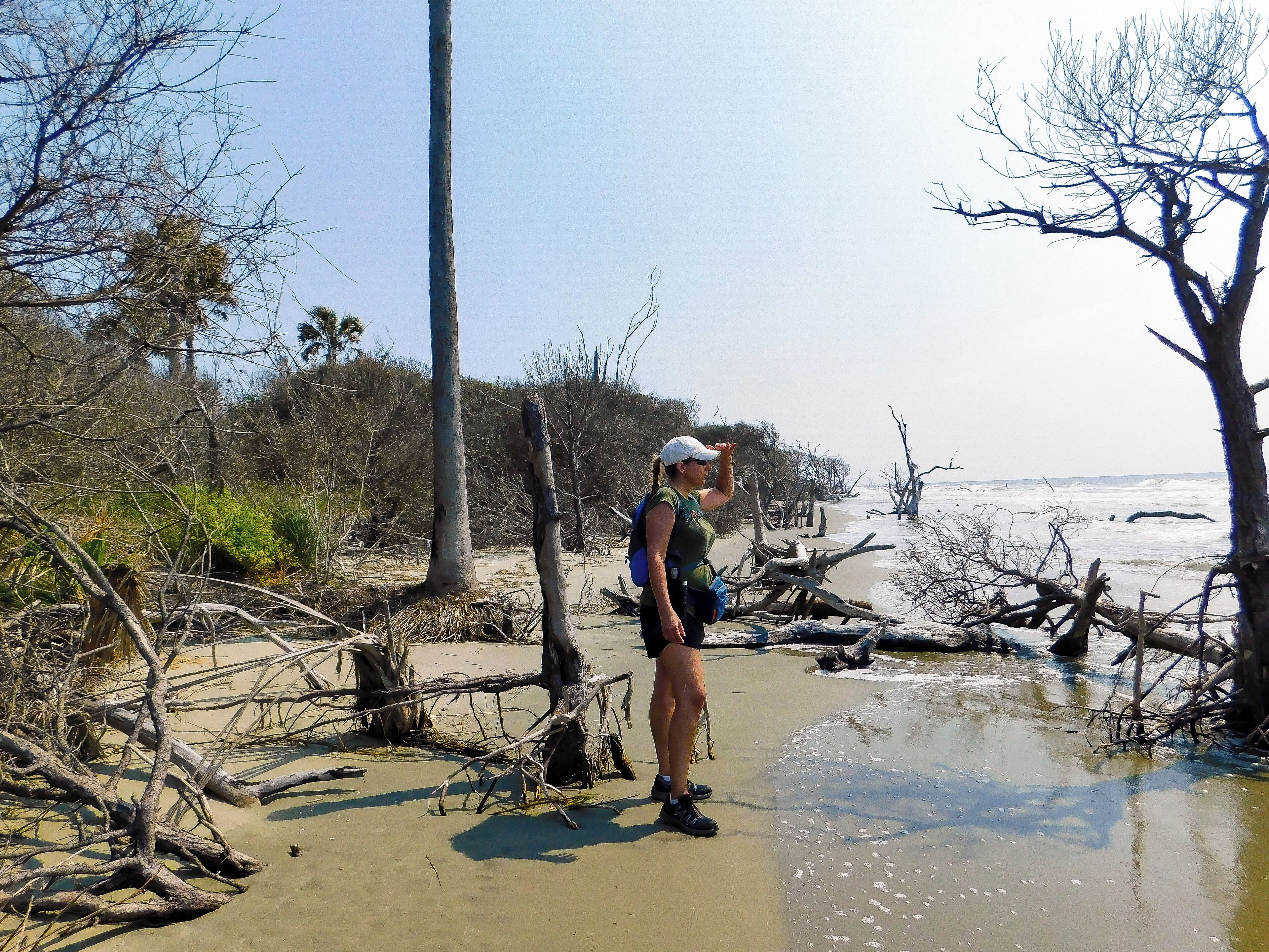 Bulls Island, at 5,000 acres, is the largest of four barrier islands found within the Cape Romain NWR. The island consists of maritime forest, fresh and brackish water impoundments, salt marsh, and sandy beaches. If you like to explore nature this is for you.  The boat drops off in the morning and noon. Hiked all day and played on the beach.